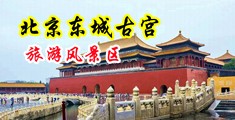 大鸡吧小伙操骚货3333中国北京-东城古宫旅游风景区